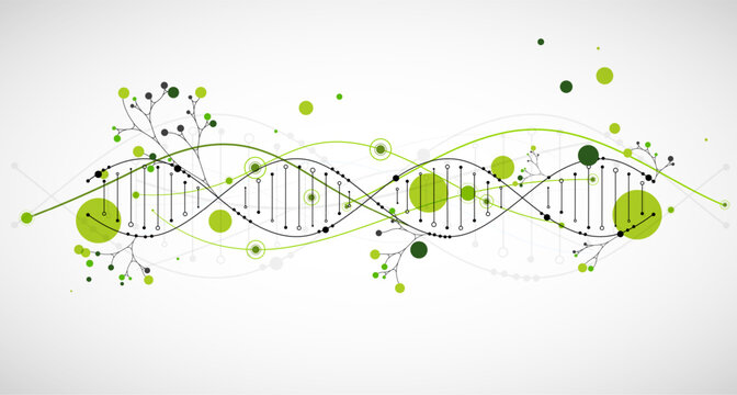 Abstract green DNA helix with digital data dots and clean background. Vector illustration