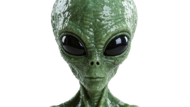 Green alien head with large black eyes detailed skin texture, isolated on transparent background