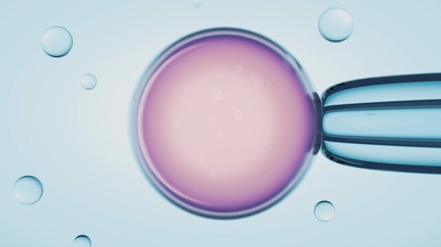 In Vitro Fertilization IVF Microinjection Medical process viewed under a microscope