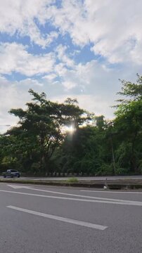 Vertical footage of sunlight shining through lush green trees beneath a blue sky with soft clouds, with a quiet roadway visible below.