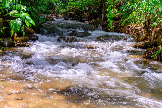 Stream in the rainforest of northern Thailand.