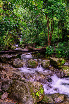 Forest stream in the rainforests of northern Thailand, rustic bridge made from a tree.