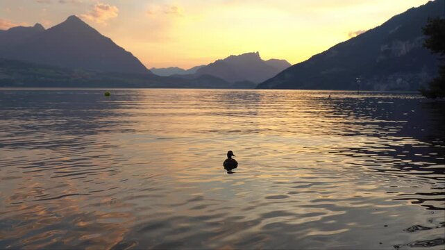 Golden Hour Sunset Over Lake Thun near Interlaken, Switzerland