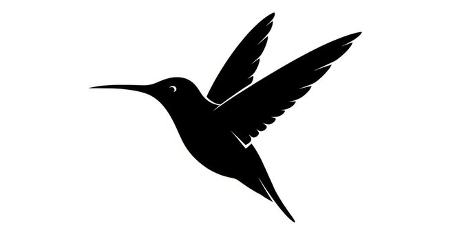 Black hummingbird silhouette flying with wings spread, isolated on white background, ideal for logos or designs.