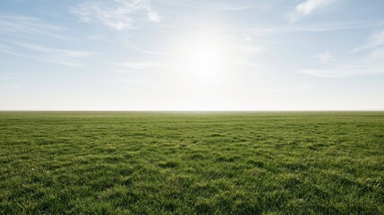Obraz premium Flat grass field stretching to the horizon under a wide blue sky with scattered clouds and bright sunlight