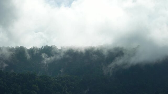 Misty Fog Drifting Over Green Mountain Forest in Southeast Asia