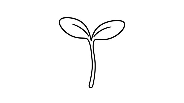 Minimalist outline illustration of a young seedling sprout with two broad oval cotyledon leaves veined center and slender curved stem rendered in bold smooth lines centered as botanical growth emblem