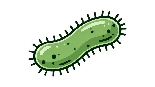 Green rod-shaped bacterium with flagella and internal dots, isolated on transparent background