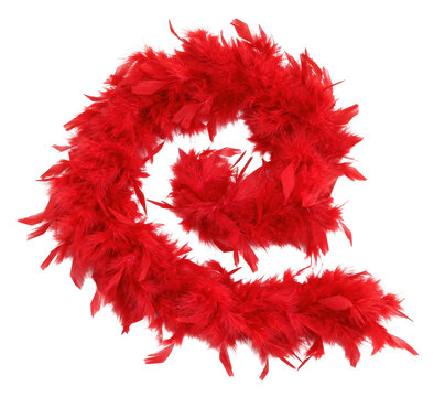 Vibrant red feather boa, elegantly curled into a decorative shape, stands out brightly against a clean white background