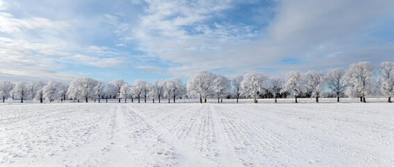 Naklejka premium Misty morning landscape iwith snow and frost