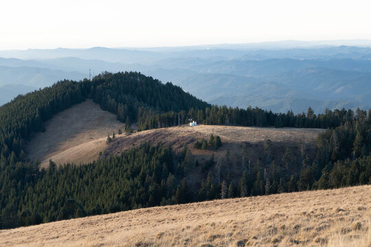 Grassy summit meadow and forested ridge on Marys Peak