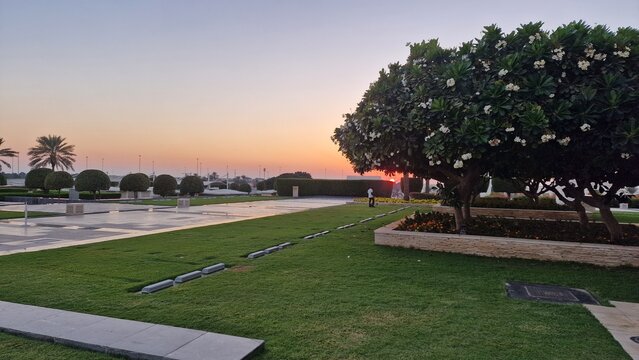 Landscaped Grounds at Sheikh Zayed Grand Mosque Abu Dhabi
