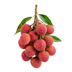 Fototapeta premium Vibrant cluster of fresh red lychee fruits with green leaves hangs from a branch, isolated on a clean white background