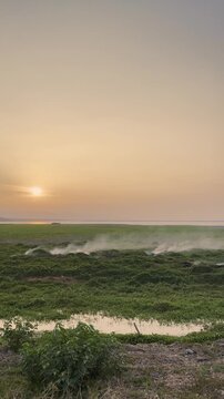 Sunset Over Grassy Field With Smoke