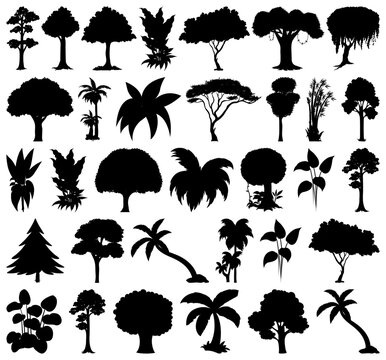 Mixed Tree Silhouette Vector Pattern Collection