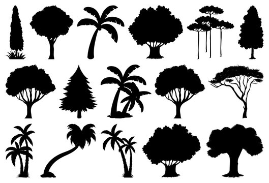 Pine and Palm Tree Silhouette Vector Set