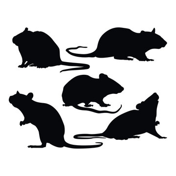 Rat Silhouette Vector Set Three Poses Isolated