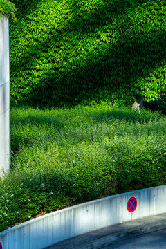Lush green wall and tall grass beside an urban ramp, combining landscaping, vegetation, architecture and city infrastructure in a contemporary setting
