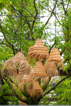 Woven hanging forms suspended among branches create an organic handcrafted display with natural texture and visual rhythm in a green outdoor setting