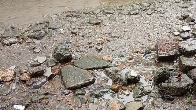Close up of rainwater flowing and streaming between wet rocks and stones on gravel ground during rainy day, natural water runoff and small puddle after heavy rain