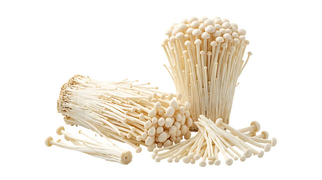 Raw enoki mushrooms isolated on transparent background