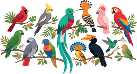 Obraz premium Tropical and exotic birds flat vector set. Parrot, macaw, toucan, cardinal, hummingbird, cockatoo, lovebird, quetzal, hoopoe and colorful wild birds perched on tree branches.