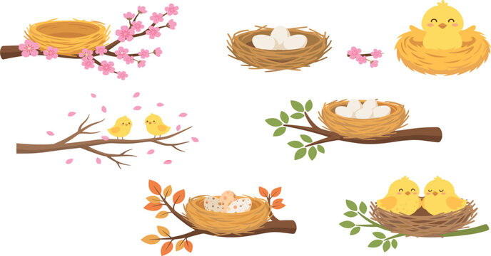Cute cartoon bird nest vector illustration set. Twig nests with white eggs, newborn chicks on tree branches, pink spring cherry blossoms and autumn leaf elements.