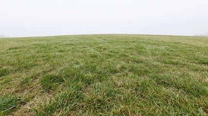 Obraz premium Wide low-angle view of a flat grass field stretching to the horizon under an overcast sky