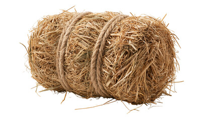 Cylindrical round hay bale tied with natural jute rope © Clementine