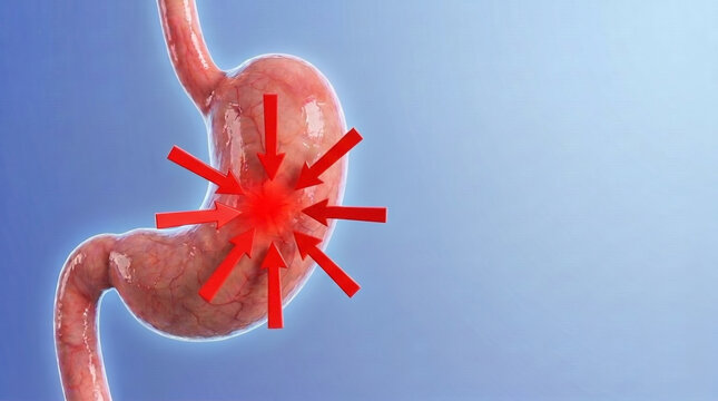 3D stomach with red arrows pointing to pain spot, blue background