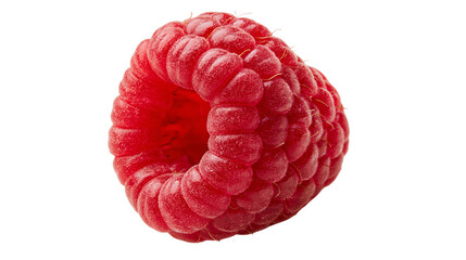 Single fresh ripe red raspberry fruit with textured drupelets © Lysander