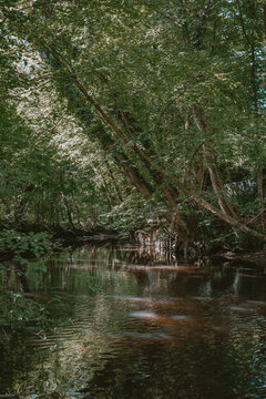 Sommerlandschaft mit Blick auf einen kleinen Teich und B&auml;ume