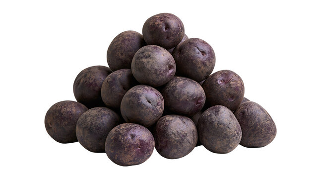 Pile of fresh raw purple potatoes with dark skin and round shape