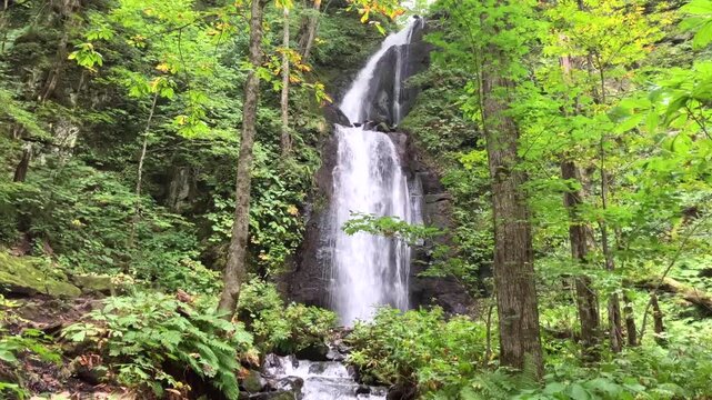 雲井の滝 全景から滝壺へ（奥入瀬渓流）