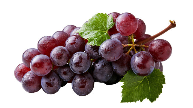 Fresh ripe red grapes cluster with green leaves and water droplets