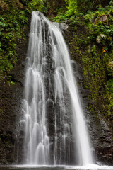 Obraz premium Salto do Prego waterfall cascades through dense green vegetation in Sao Miguel, Azores, Portugal. The water flows rapidly down a rocky cliff, surrounded by a tropical mountain landscape.