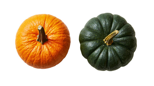 Bright orange and dark green pumpkins with textured rinds and woody stems