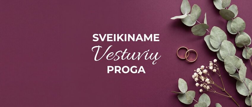 Wedding greeting card background Lithuanian text Sveikiname Vestuviu Proga with golden rings eucalyptus leaves and baby breath flowers on burgundy background for romantic marriage banner