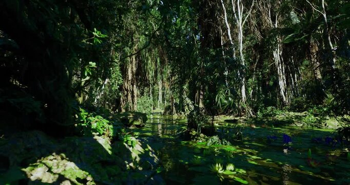 Dappled swamp trail beside slow water and hanging vines, ancient trunks and tangled roots invite exploration, adventure photography setting with raw wild