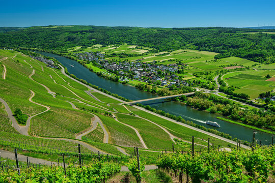 Scenic view of river Mosel and vineyards in L�snich Germany