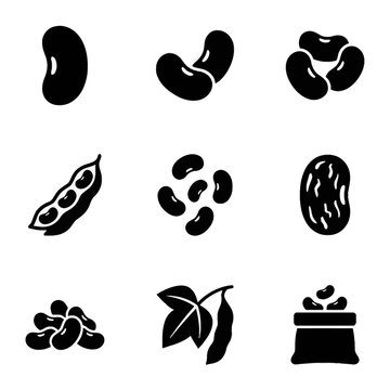 Dried red haricot beans or kidney beans vector illustration isolated on white background. High-quality graphic icon for healthy organic food, agriculture, and nutrition concepts.