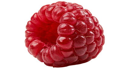 Single ripe red raspberry fruit with textured drupelets © Rowan