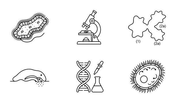 Microbiology Icons: Bacteria, Amoeba, Microscope, DNA, Science Lab Vector Set