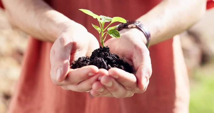Sustainable, growth or hands outdoor with plant, ethics or conservation in esg accountability. Cultivation, leaf and man with development, environmental awareness and responsibility in green practice