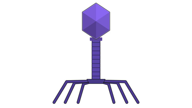 Bacteriophage virus flat illustration
