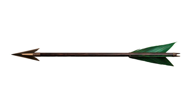 Traditional wooden arrow with sharp metal arrowhead and green fletching feathers