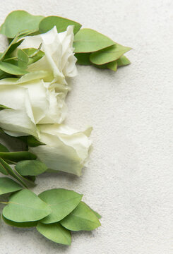 White roses and eucalyptus leaves creating floral border