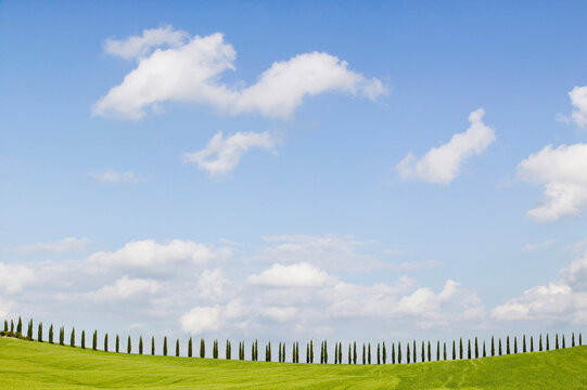 Italy, Tuscany, landscape