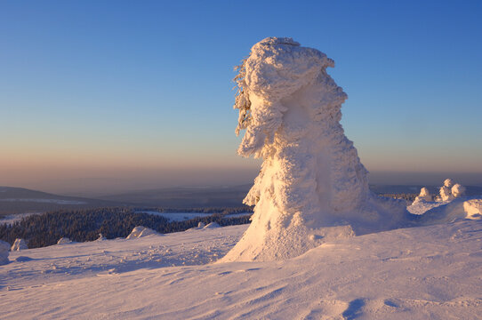Germany, Saxony-Anhalt, Snowcapped trees