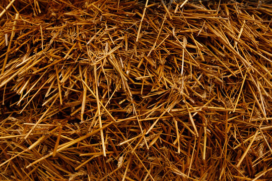 Close up overhead background texture of dry golden brown straw and hay stalks tangled in a dense messy pile under dim natural light horizontal view
